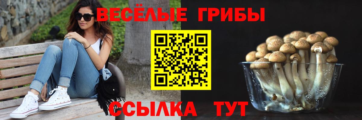 Псилоцибиновые грибы GOLDEN TEACHER Саянск